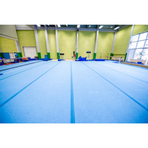 Gymnastika